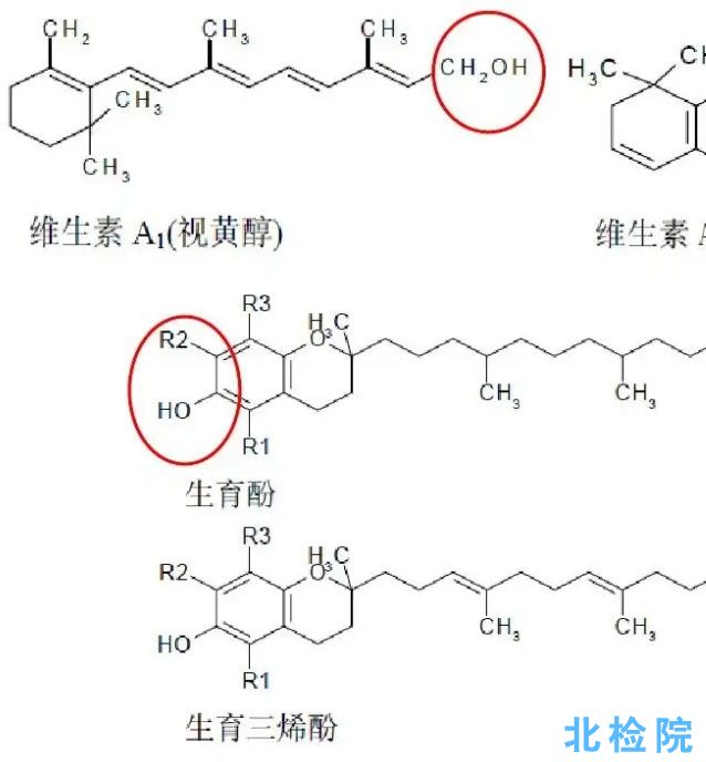 維生素測試