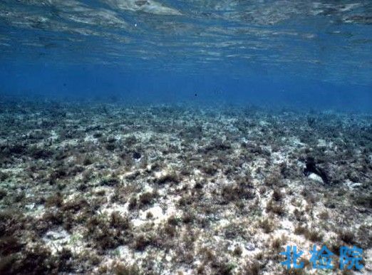 海洋沉積物巖土分析測試