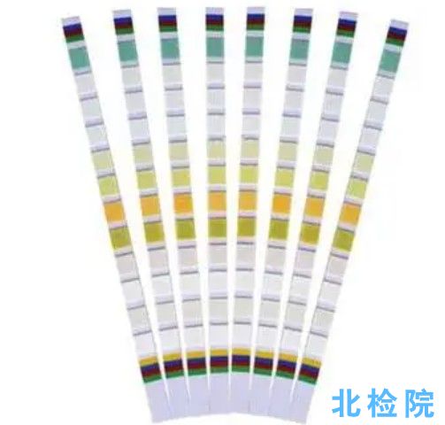 尿液分析試紙條測試