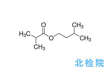 丁酸異戊酯測試