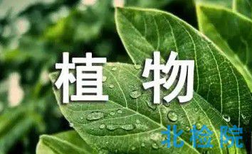 植物檢疫測試