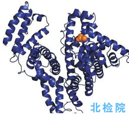 超微量蛋白檢測