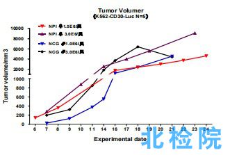 圖5.K562-CD30-Luc細(xì)胞皮下成瘤實(shí)驗(yàn)