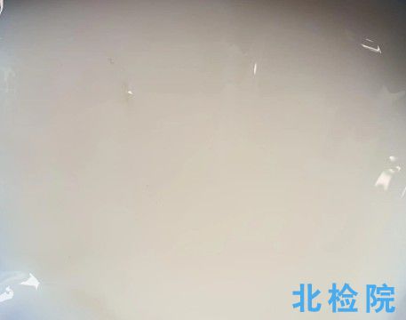 丙乳檢測