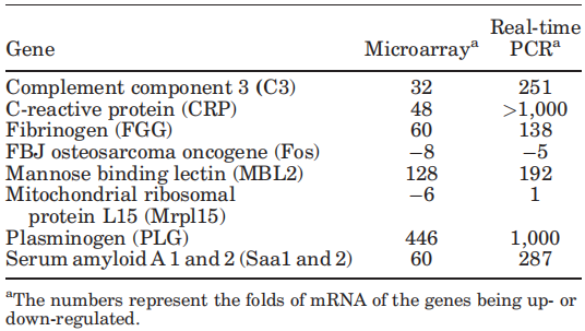 HBV-3.png