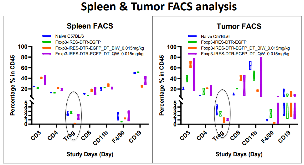 foxp3-DTR-3.png