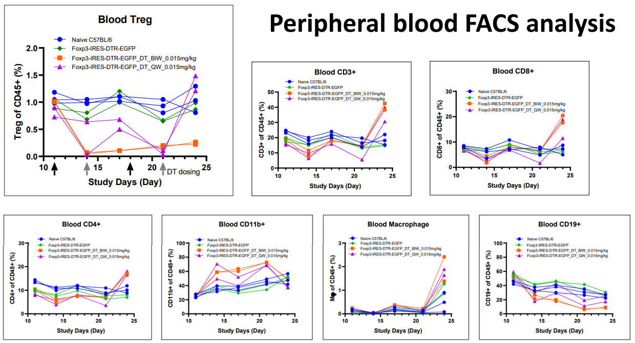foxp3-DTR-2.png