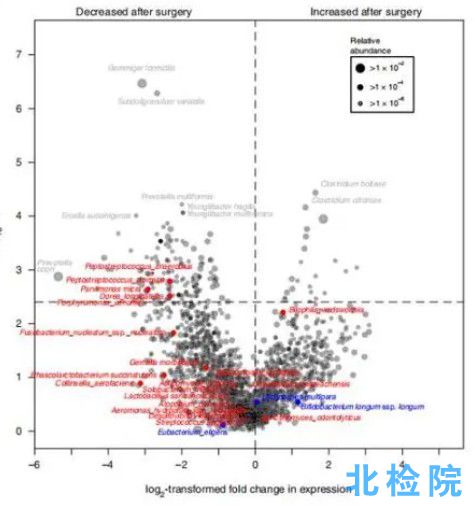 腸道宏基因組檢測