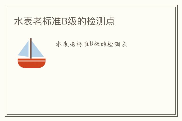 水表老標(biāo)準(zhǔn)B級(jí)的檢測(cè)點(diǎn)