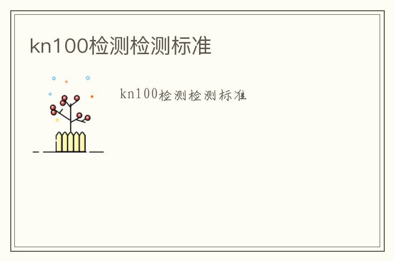 kn100檢測檢測標準