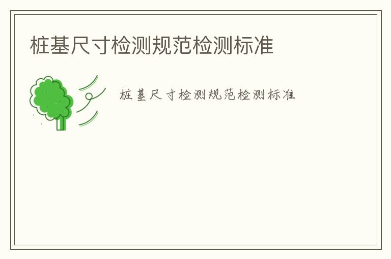 樁基尺寸檢測(cè)規(guī)范檢測(cè)標(biāo)準(zhǔn)