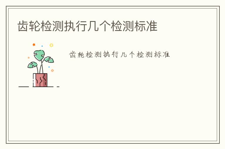 齒輪檢測執(zhí)行幾個(gè)檢測標(biāo)準(zhǔn)