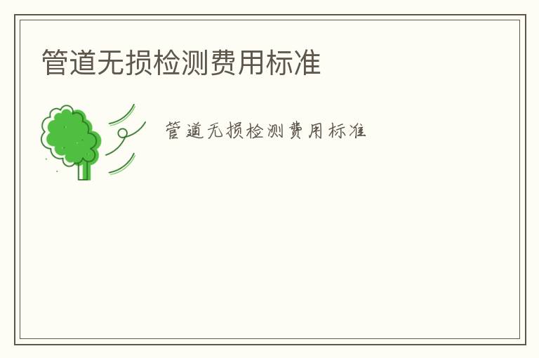 管道無損檢測費用標(biāo)準(zhǔn)