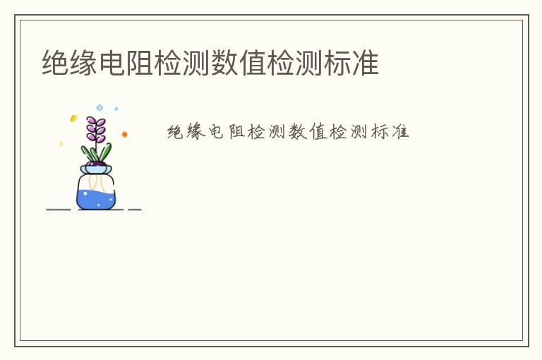 絕緣電阻檢測數值檢測標準