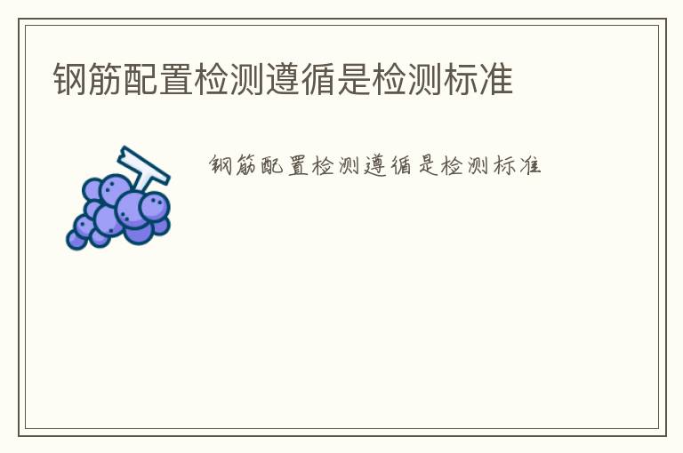 鋼筋配置檢測遵循是檢測標(biāo)準(zhǔn)