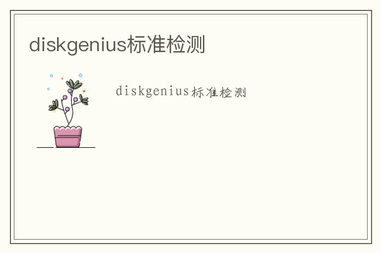 diskgenius標準檢測