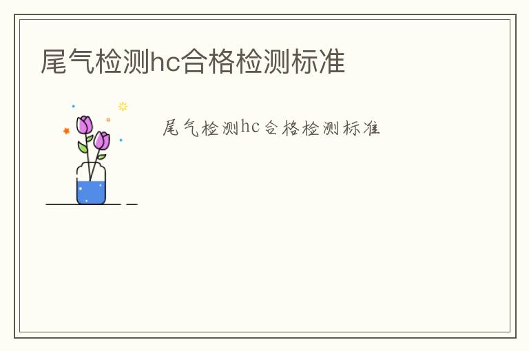 尾氣檢測hc合格檢測標準