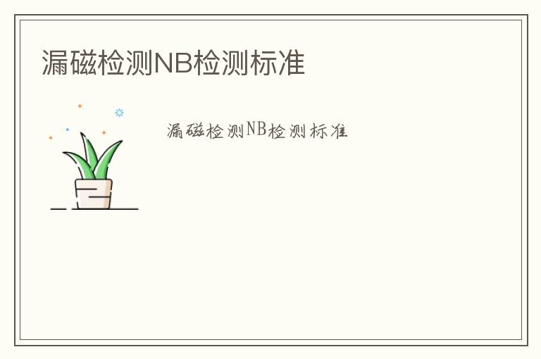 漏磁檢測NB檢測標準