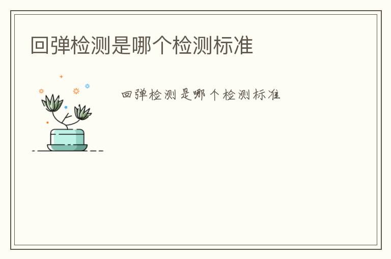 回彈檢測是哪個檢測標(biāo)準(zhǔn)