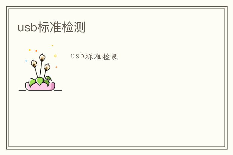 usb標(biāo)準(zhǔn)檢測