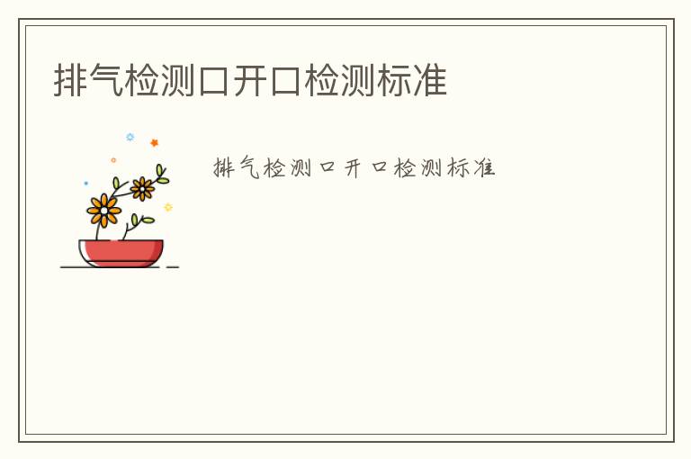 排氣檢測(cè)口開口檢測(cè)標(biāo)準(zhǔn)