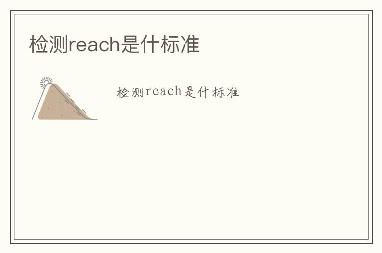 檢測reach是什標準