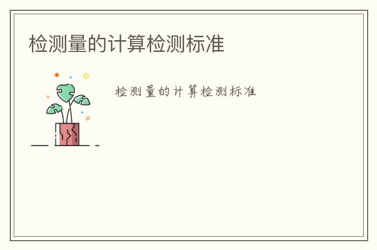 檢測量的計算檢測標(biāo)準(zhǔn)