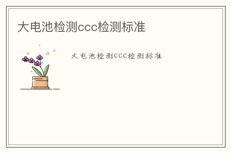 大電池檢測ccc檢測標準