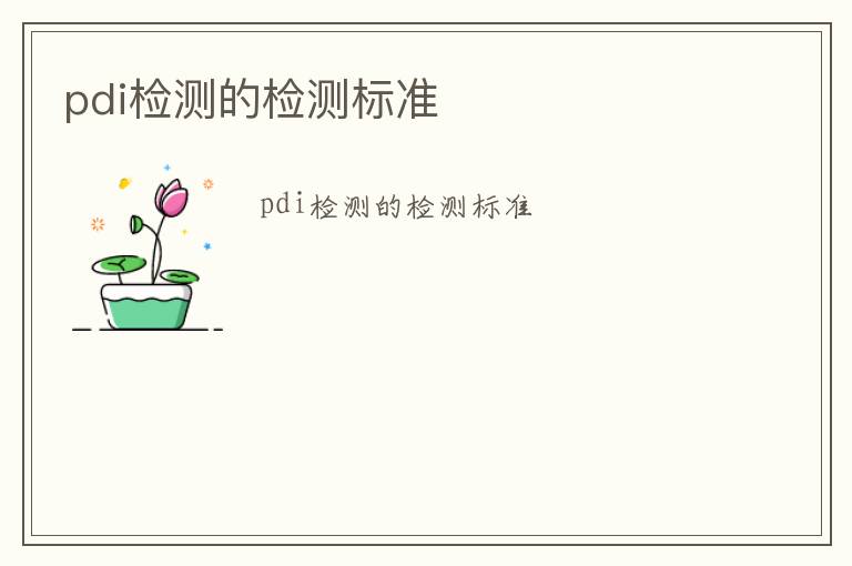 pdi檢測的檢測標準