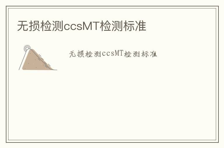 無損檢測ccsMT檢測標準