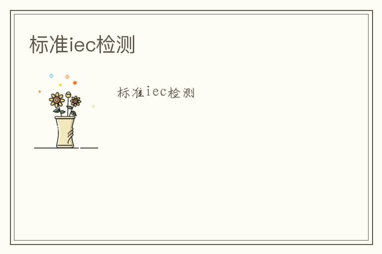 標(biāo)準(zhǔn)iec檢測(cè)