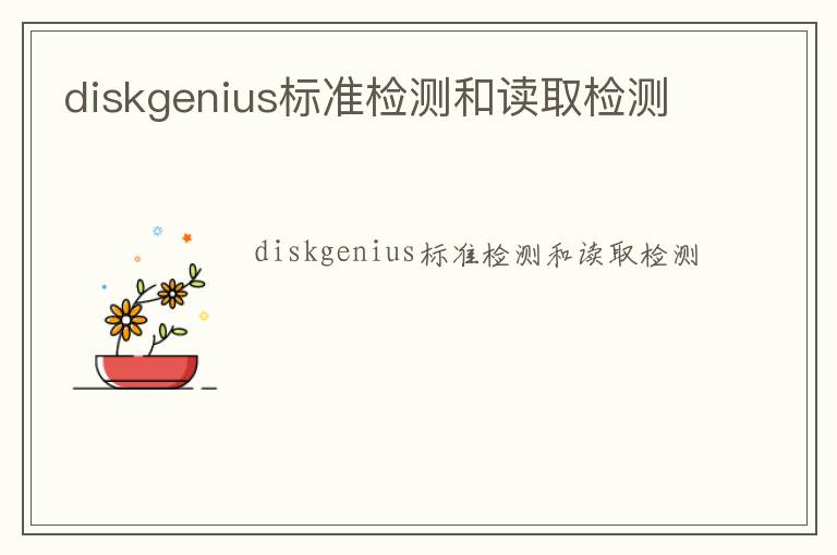 diskgenius標準檢測和讀取檢測