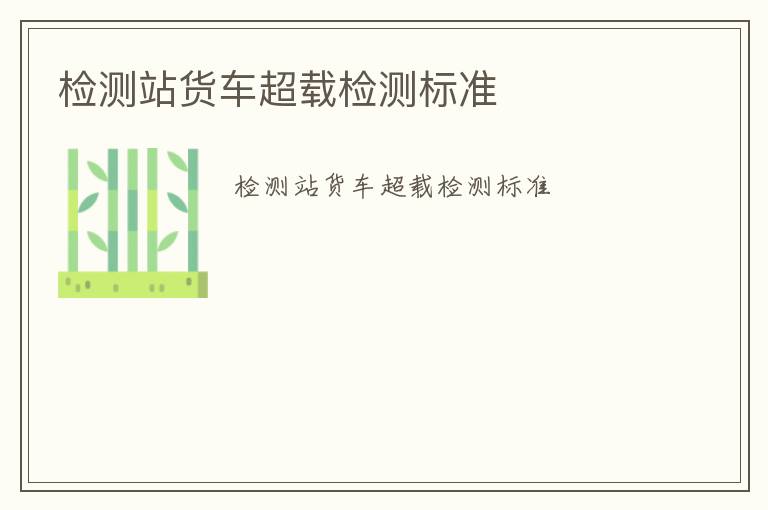 檢測站貨車超載檢測標準